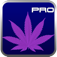 iPhone/iPadアプリ「STRAINS Pro」のアイコン